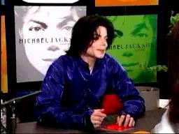 virgin-MJ7.jpg